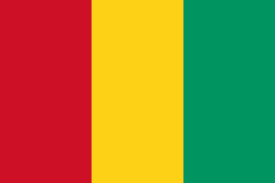 Recharges mobiles en ligne pour la Guinée avec Joxko